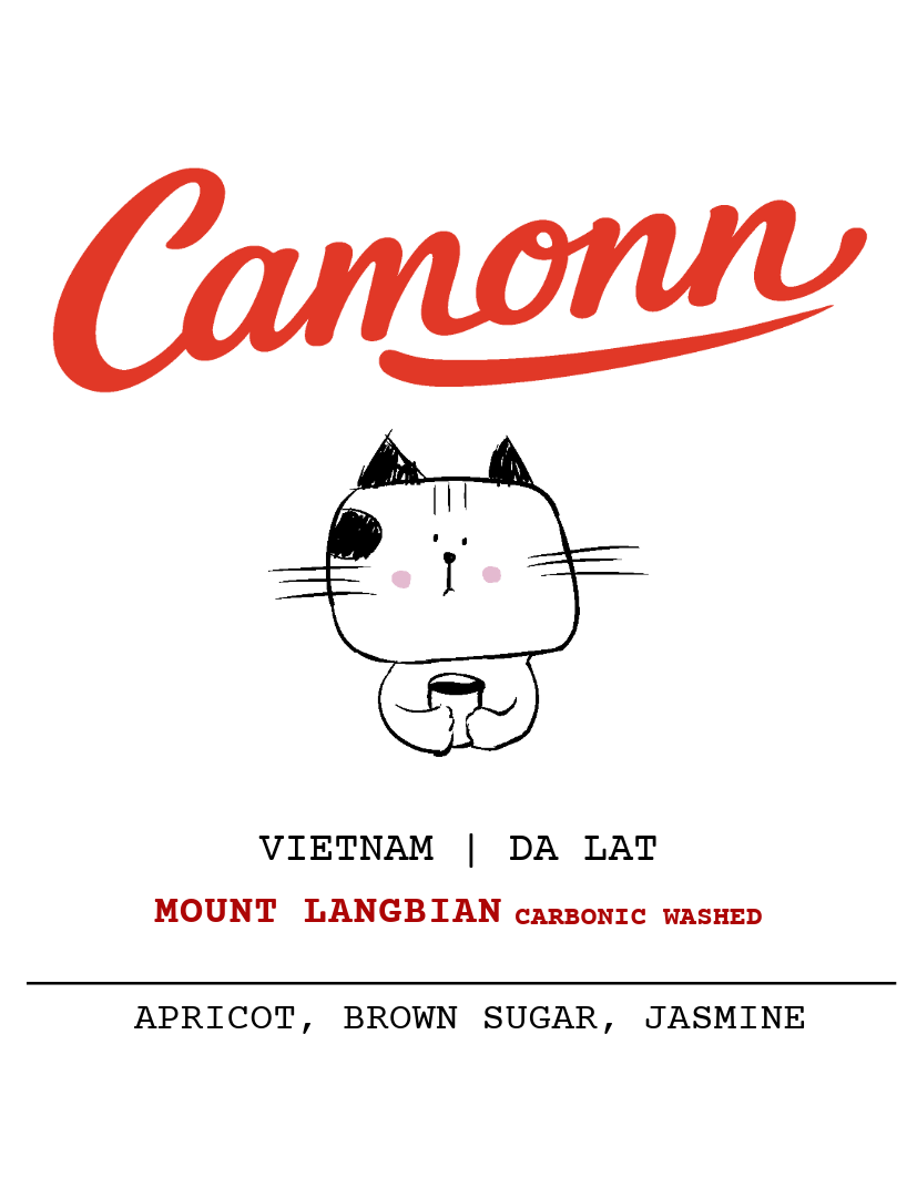 Mount Langbiang - Limited Edition